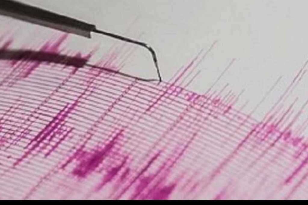 नवीन वर्षाच्या पहिल्या दिवशी दिल्ली भूकंपाने हादरली