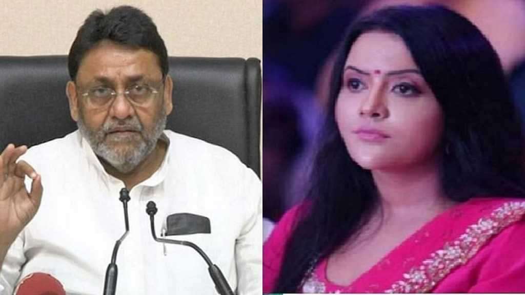 “मलिक, ४८ तासात पत्रकार परिषद घेऊन माफी मागा अन्यथा…”