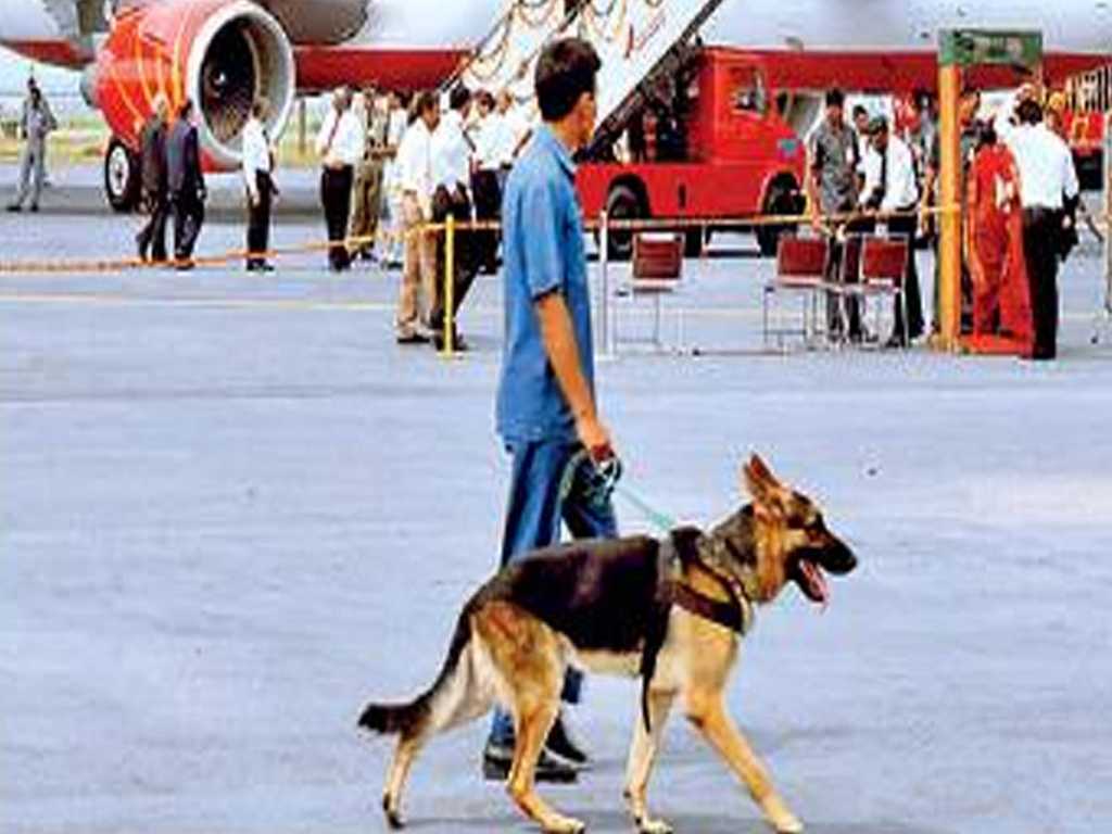 श्वानाची सजगता आणि पकडले गेले ९० कोटींचे ड्रग्स