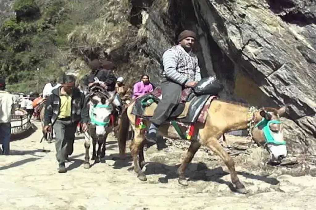 केदारनाथमध्ये घोडे, खेचर करून देतात १०० कोटींची कमाई