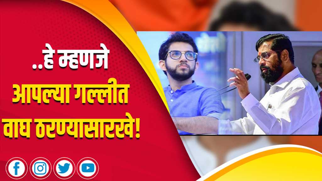 …हे म्हणजे आपल्या गल्लीत वाघ ठरण्यासारखे!