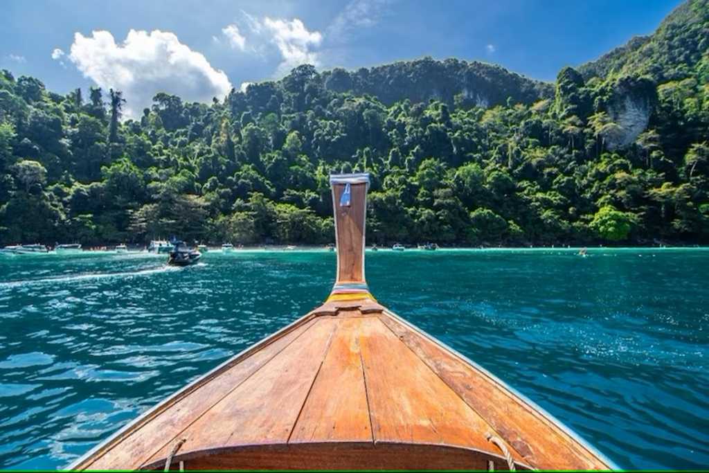 अंदमानच्या जंगलात मिळाले म्यानमारच्या सहा शिकाऱ्यांचे मृतदेह!