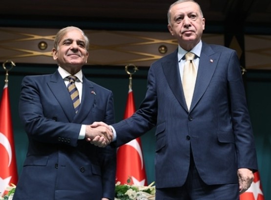 तुर्कीने काश्मीर मुद्द्यावर पुन्हा खुपसले नाक