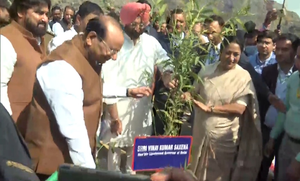 दिल्लीत बांबू प्लांटेशनला प्रारंभ