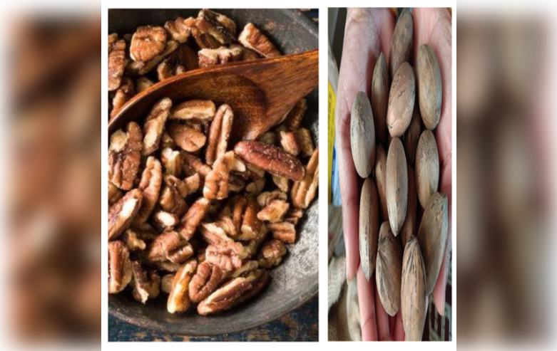 दिल की सेहत का रखेगा ख्याल – बस एक मुट्ठी पीकन नट्स
