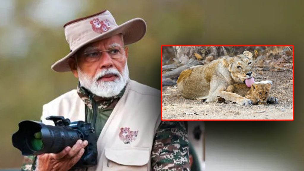 पंतप्रधान मोदींची गीर वन्यजीव अभयारण्यातील जंगल सफारी!