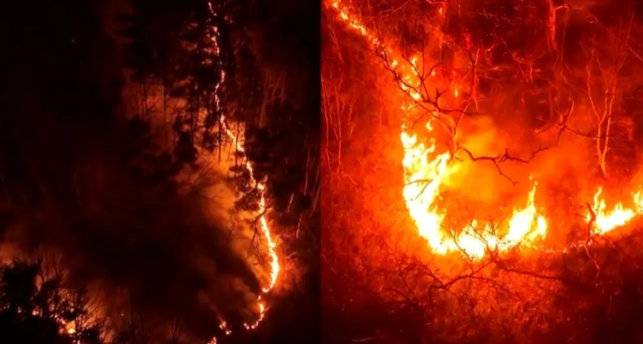 दक्षिण कोरियातील २० हून अधिक जंगलांमध्ये आग!