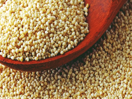 उन्हाळ्यात अमृतासारखी खसखस!