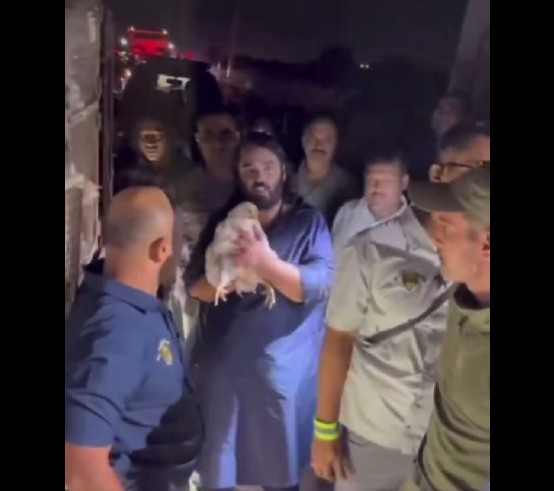 …आणि अनंत अंबानींनी कोंबड्याच दुप्पट किमतीने विकत घेतल्या!