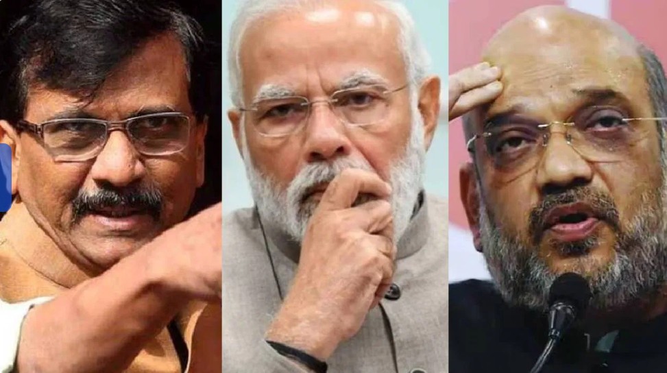 राऊतांचे पुस्तक म्हणजे चित्रपटाची स्क्रिप्ट!