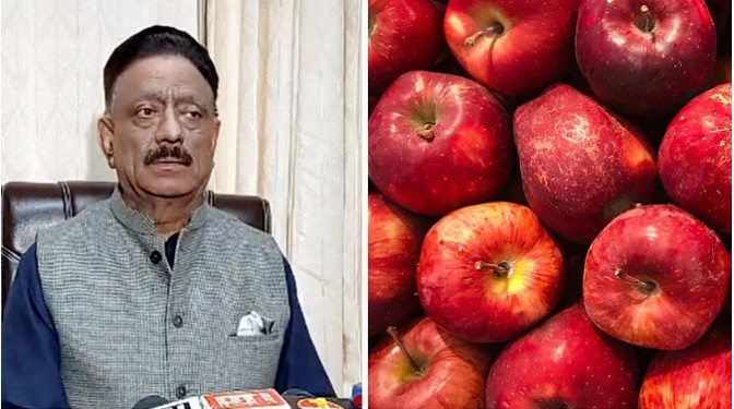 भारताविरुद्ध पाकला ड्रोन पुरविणाऱ्या तुर्कीचे सफरचंद आम्हाला नको!