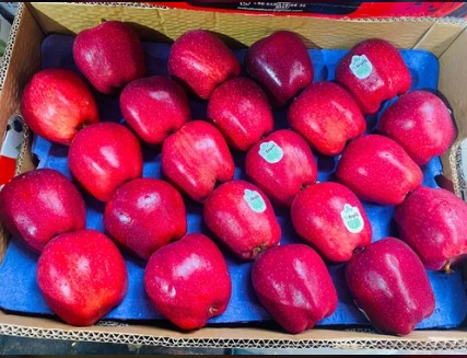 तुर्कस्तानचा निषेध: पुण्यातील व्यापाऱ्यांचा सफरचंदावर बहिष्कार!