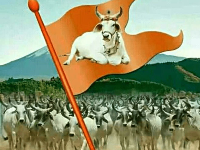 गोवंश मांसाची वाहतूक रोखणारे गोरक्षक संग्राम ढोले, उनवणे, पोपळघट यांच्यावरच गुन्हे