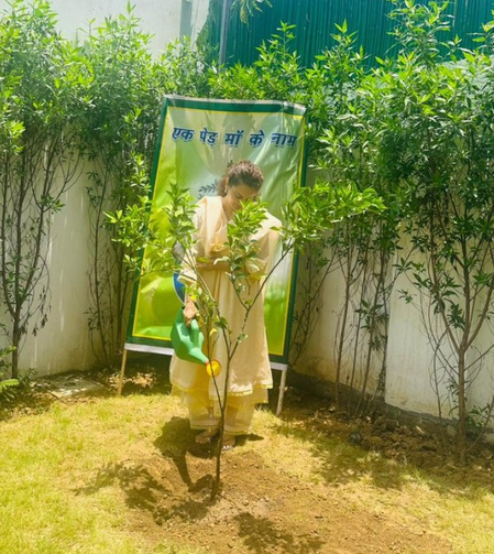 एक झाड आईच्या नावानं : कंगना रणौत यांचा उपक्रम