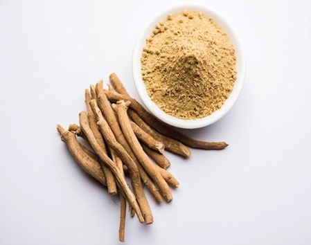 कोणत्या आयुर्वेदिक जडीबुटी इम्युनिटी वाढवतात ?