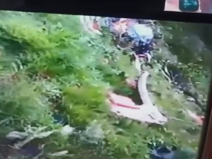 केदारनाथ हेलिकॉप्टर अपघातात पायलटसह सर्व ७ जणांचा मृत्यू