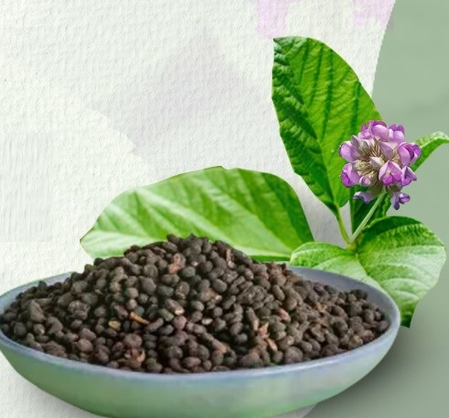 त्वचारोग असो वा कोंडा, बघा प्रभावी उपाय काय ?