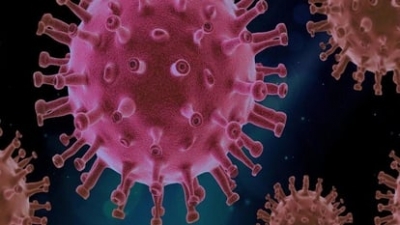 नोएडात कोरोनाचे १६ नवे रुग्ण