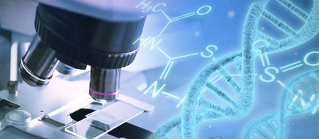 कॅन्सरशी लढण्यास मदत करणाऱ्या ‘प्रोटीन’चा शोध