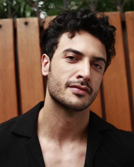 हिंदी-मराठी भाषावाद : अभिनेता जैन दुर्रानी काय म्हणाले ?