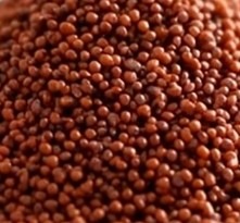 हृदय ठणठणीत, पोट शांत ठेवणारा ‘रागी’