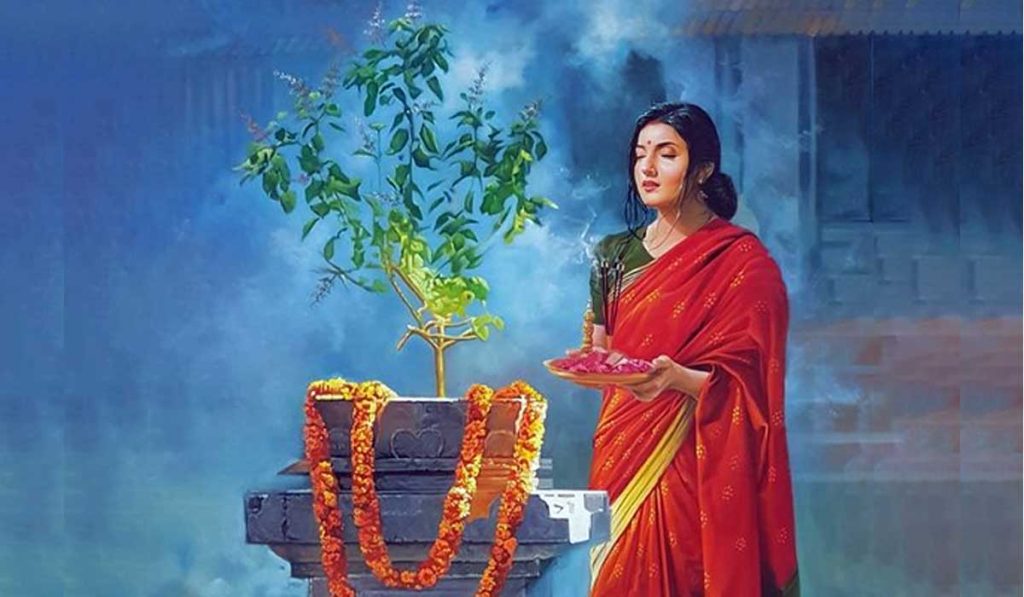 श्रावण २०२५: श्रावणमध्ये तुळशी तोडणे निषिद्ध का मानले जाते… त्यामागील श्रद्धा काय आहे ते जाणून घ्या