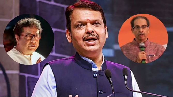 राज ठाकरेंचे आभार! मराठीबद्दल एक शब्द नव्हता, केवळ रुदाली होती!