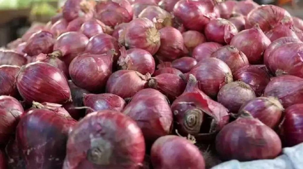 शेतकऱ्यांकडून थेट कांदा खरेदी करा; राज्याच्या मंत्र्यांची केंद्राकडे मागणी