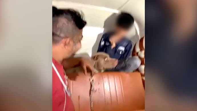 मानखुर्दमध्ये पिटबुल कुत्रा अंगावर सोडला, मुलाचा घेतला चावा