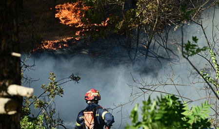 ग्रीसच्या जंगलांना भीषण आग