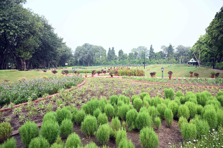 राष्ट्रपती भवनातील अमृत उद्यानात नवे आकर्षण काय ?