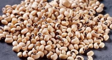 वजन कमी करण्यास काय आहे उपयुक्त?