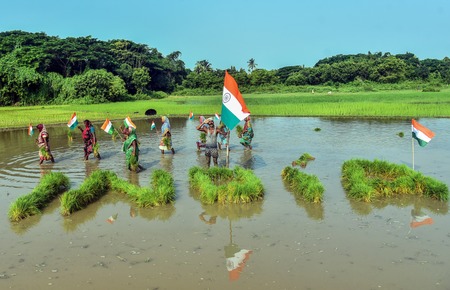 २५ कोटींपेक्षा जास्त मृदा आरोग्य कार्ड वाटप