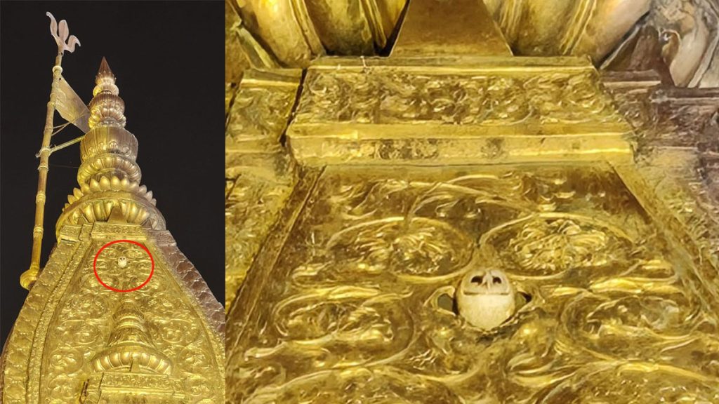 सप्त ऋषी आरतीवेळी बाबा विश्वनाथांच्या सुवर्ण शिखरावर एक पांढरं घुबड उपस्थित असतं