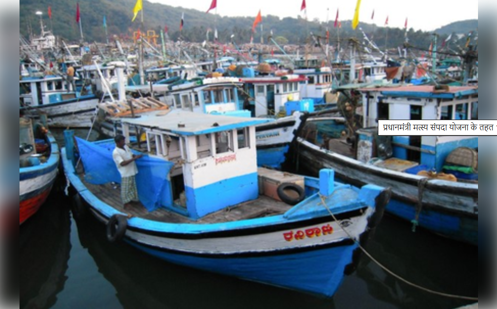 मत्स्यक्रांतीची सुरुवात!