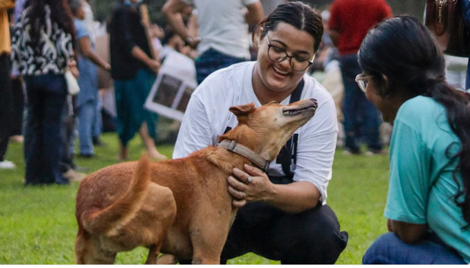 “लसीकरणानंतर भटक्या कुत्र्यांना मूळ भागातच सोडा”