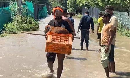 दिल्ली-नोएडामध्ये पूराचा कहर