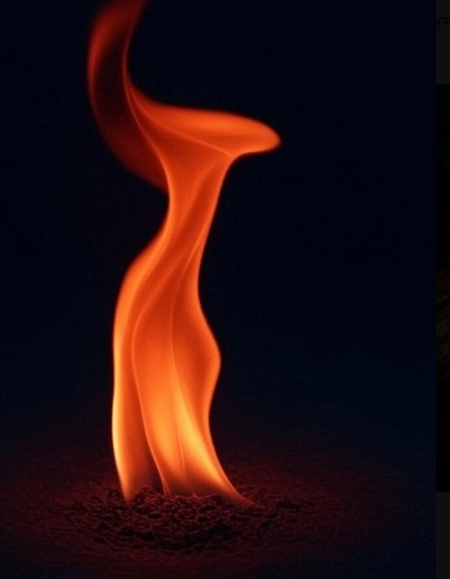 भारतीय सेनेने मोठा अनर्थ टाळला