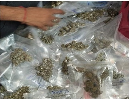 डीआरआयकडून २६ कोटींचे अमली पदार्थ जप्त