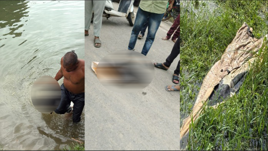 “रस्त्यावर गायीचे शीर; अकबरी बेगम म्हणाल्या, ‘१०० रुपयांना गोमांसाची होम डिलिव्हरी मिळते'”