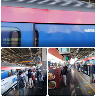 रेडलाईन मेट्रोत सिग्नल बिघाड; प्रवासी रागाने लालेलाल!