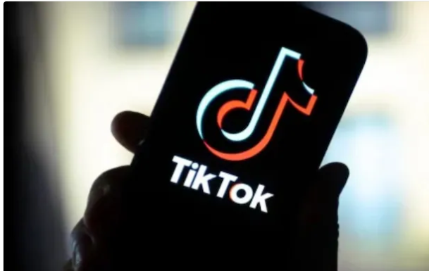 भारत टिकटॉकवरील बंदी उठवणार का?, मंत्री वैष्णव म्हणाले…