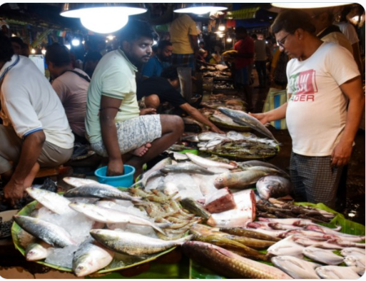 बांगलादेशी हिल्सा मासा दुर्गा पुजेला का मागवला जातो?