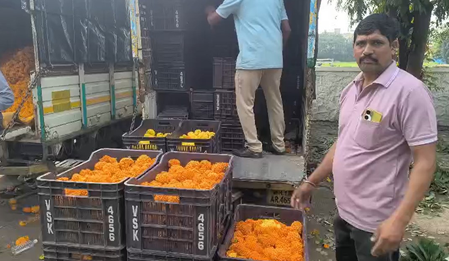 नाशिकमध्ये पावसाने दसऱ्याचा रंग फिका