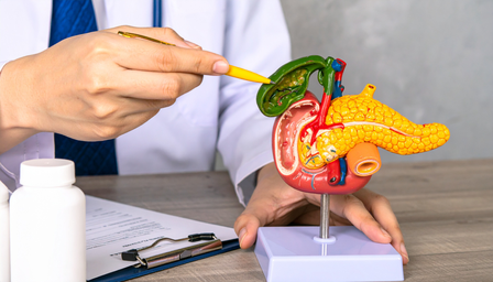 गॉल ब्लॅडर: शरीराचा महत्त्वाचा अवयव…