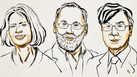 वैद्यकशास्त्रातील नोबेल पुरस्काराची घोषणा; ‘या’ संशोधनासाठी तीन शास्त्रज्ञ होणार सन्मानित