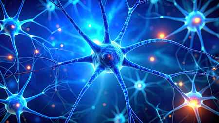 डार्क चॉकलेट, बेरीज स्मरणशक्ती वाढवण्यासाठी उपयुक्त