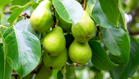 बद्धकोष्ठतेपासून डायबिटीजपर्यंत प्रत्येक आजारावर उपाय काय ?