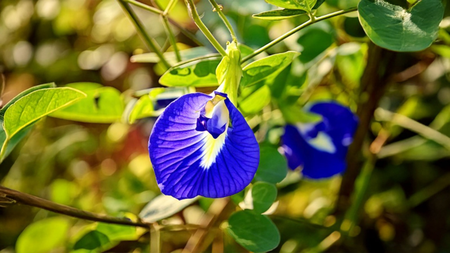 स्ट्रेस आणि टेन्शनला म्हणा अलविदा