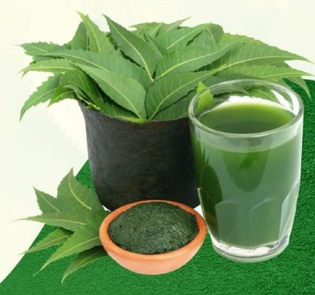 आयुर्वेदात कडूलिंबाचे महत्व जाणून घ्या !